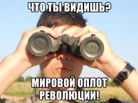 что ты видишь? мировой оплот революции!
