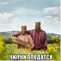 чюрки плодятся