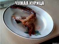 чужая курица 