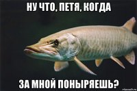 ну что, петя, когда за мной поныряешь?