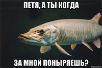 петя, а ты когда за мной поныряешь?