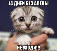 14 дней без алёны не уходи!!!