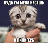куда ты меня несешь в пинигерь