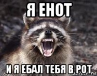 я енот и я ебал тебя в рот