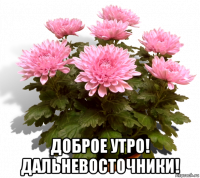  доброе утро! дальневосточники!