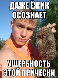 даже ёжик осознает ущербность этой прически