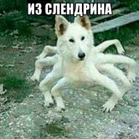 из слендрина 