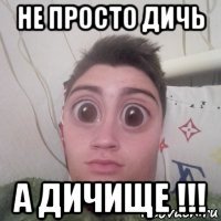 не просто дичь а дичище !!!