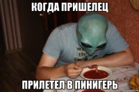 когда пришелец прилетел в пинигерь