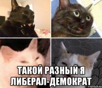  такой разный я либерал-демократ