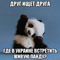 друг ищет друга где в украине встретить живую панду?