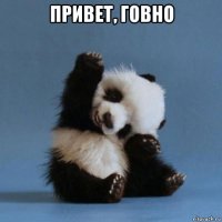 привет, говно 