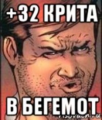 +32 крита в бегемот