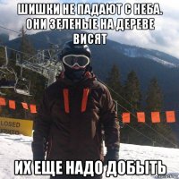 шишки не падают с неба. они зеленые на дереве висят их еще надо добыть