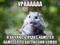 ураааааа я качяюсь я lake hamster hamster по англиский хомяк