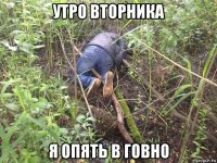 утро вторника я опять в говно