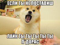 если ты не поставиш лайк ты ты ты ты ты п*дорас