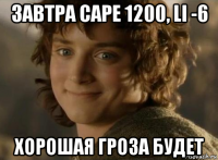 завтра cape 1200, li -6 хорошая гроза будет