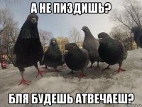 а не пиздишь? бля будешь атвечаеш?