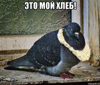 это мой хлеб! 