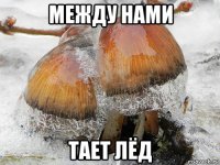 между нами тает лёд