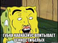  губка кавказиус впитывает ценности белых