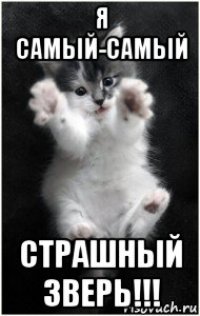я самый-самый страшный зверь!!!