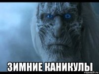  зимние каникулы