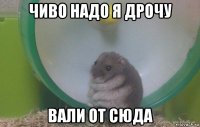 чиво надо я дрочу вали от сюда