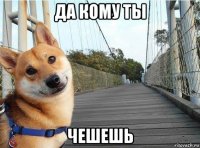 да кому ты чешешь