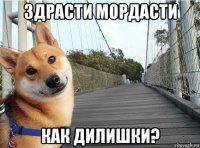 здрасти мордасти как дилишки?