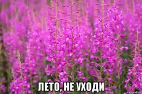  лето, не уходи