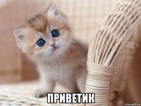  приветик
