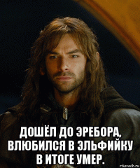  дошёл до эребора, влюбился в эльфийку в итоге умер.