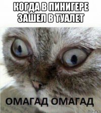 когда в пинигере зашел в туалет 