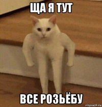 ща я тут все розьёбу