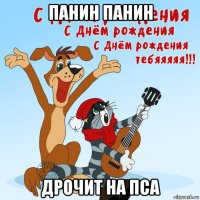 панин панин дрочит на пса