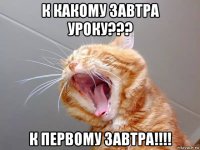 к какому завтра уроку??? к первому завтра!!!!