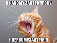к какому завтра уроку кпервомузавтра!!!!