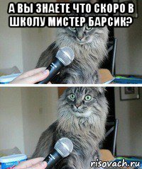 а вы знаете что скоро в школу мистер барсик? 