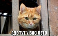  где тут у вас лето