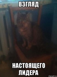 взгляд настоящего лидера