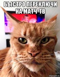 быстро переключи на матч-тв 