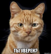  ты уверен?