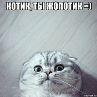 котик, ты жопотик =) 