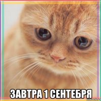  завтра 1 сентебря