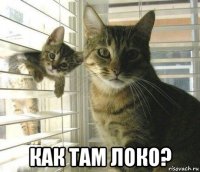  как там локо?