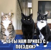  че ты нам привез с поездки?