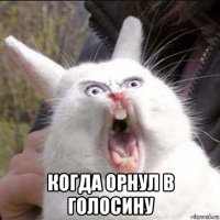  когда орнул в голосину