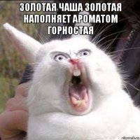 золотая чаша золотая наполняет ароматом горностая 